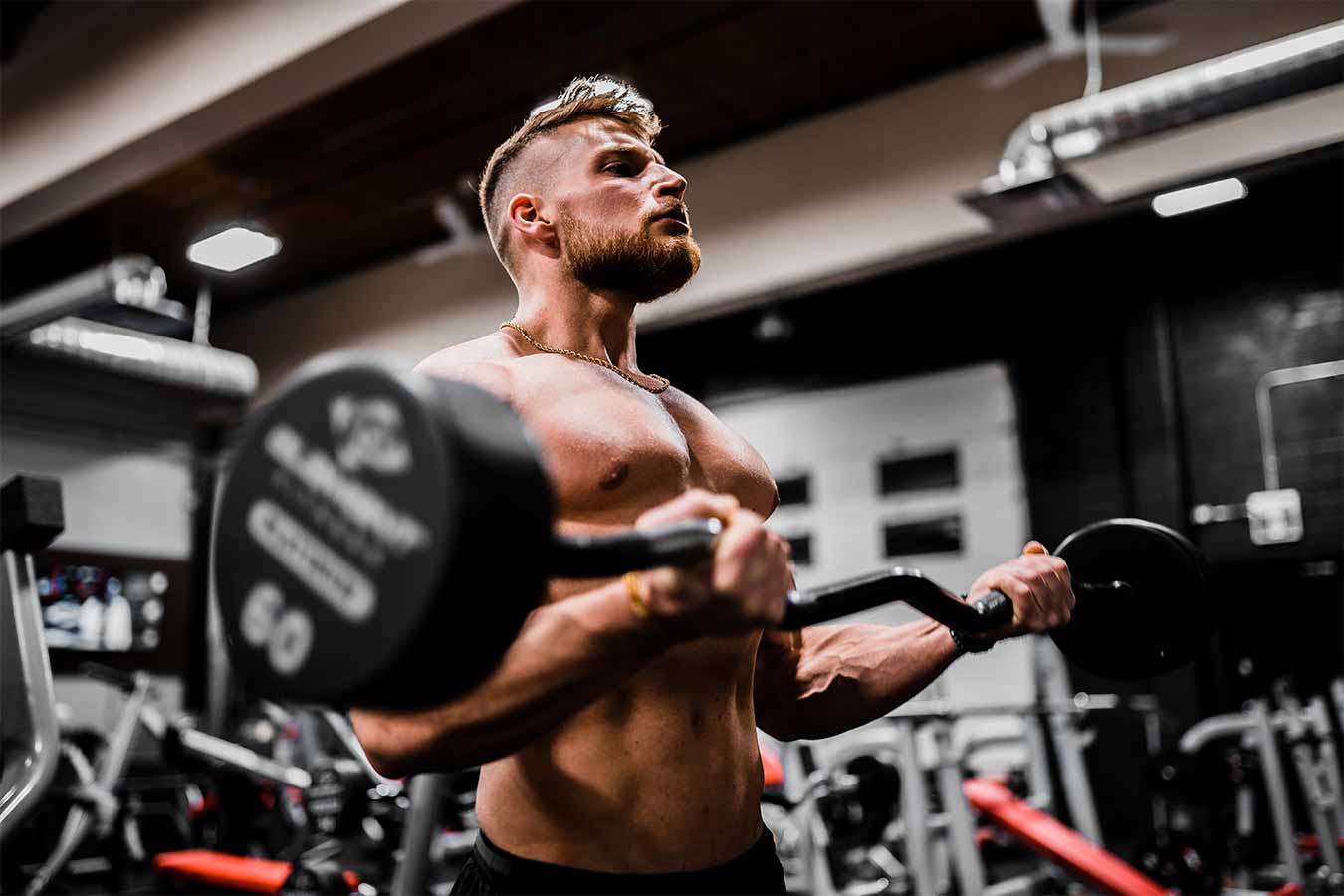 forearm muscles used when exercising
