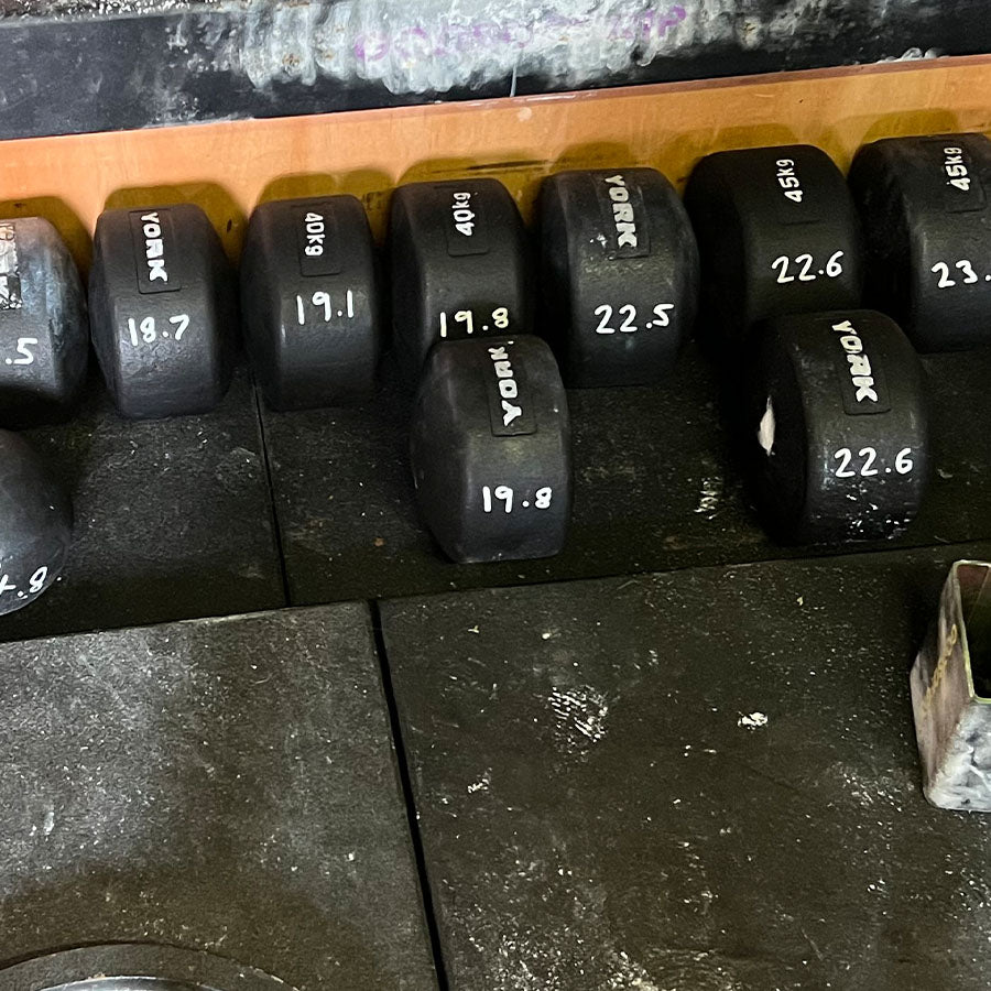 York Legacy Blob Weights