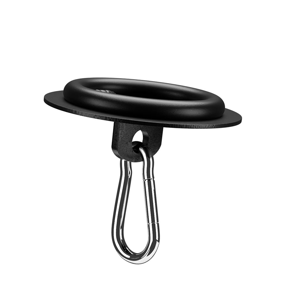 Ring Hub With Carabiner